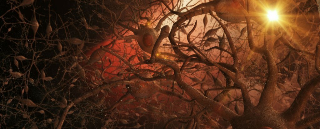 M0VING_D4Y's tweet card. Of the mice that received the treatment, 75 percent got their memory function back.