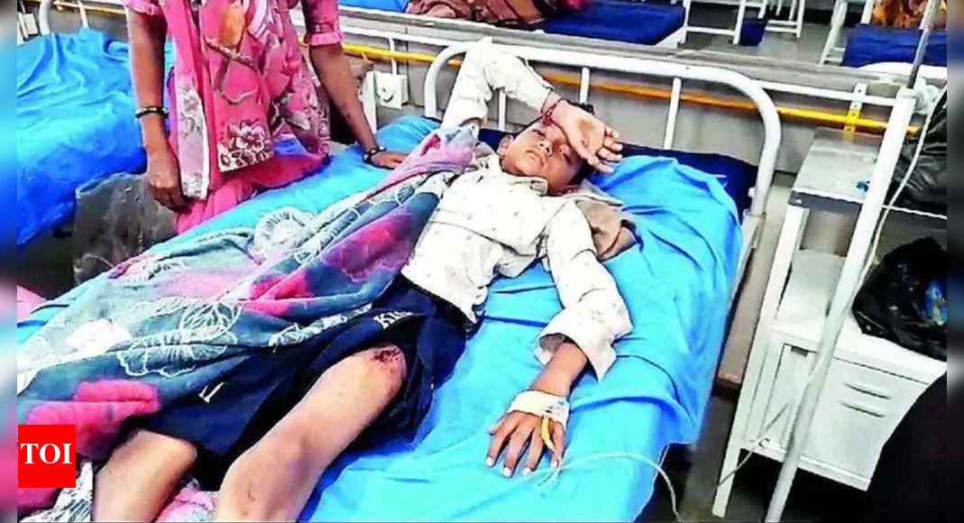 TOIRajkot's tweet card. In Dhudhvana village, Amreli district, a nine-year-old boy named Krupal Chauhan was injured by a lion on Monday night. The lion, agitated by villagers