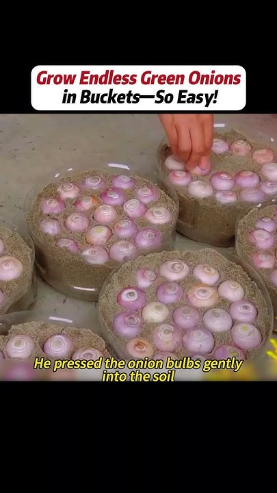 EmilySandstrom's tweet card. #handwork #Manufacturing #Build #Creativity #Repair #DIY #challenge...