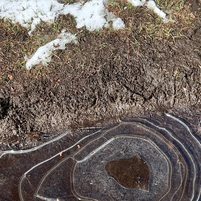 Maestraita2010's tweet card. Michele Garrett (@maestraita2010) • Instagram photo