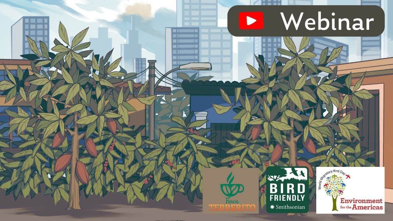 SMBC's tweet card. Bird Friendly Coffee - Webinar - World Migratory Bird Day 2025