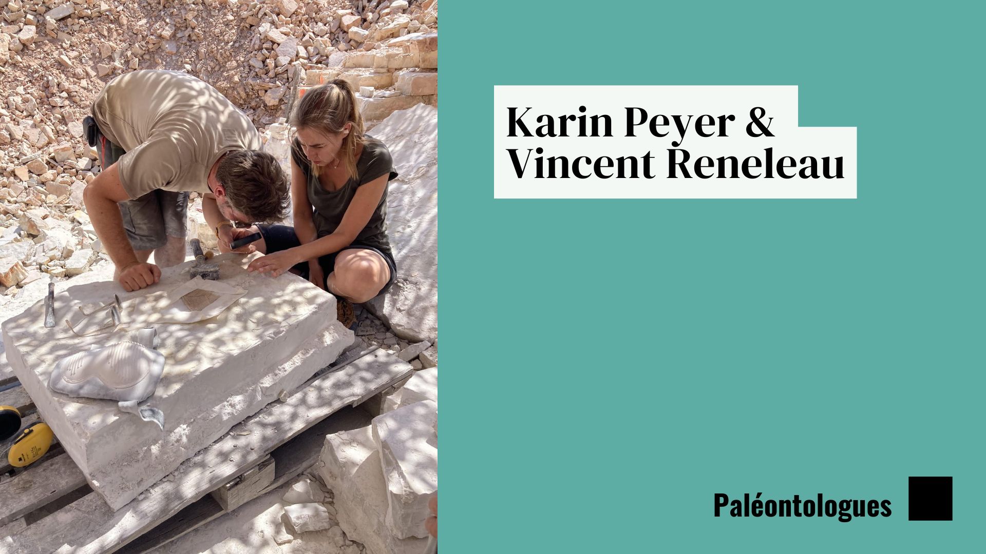 armeedeTerre's tweet card. Depuis plusieurs années, les paléontologues Karin Peyer et Vincent Reneleau organisent des fouilles au camp de Canjuers. Ce lieu constitue un site remarquable de préservation de fossiles. L’échange...