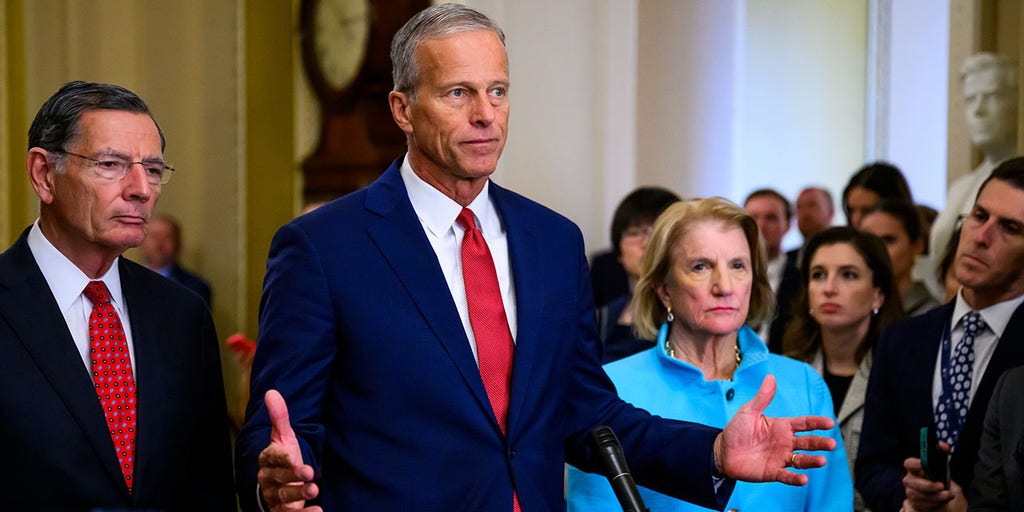 RebelMAGA4547's tweet card. Senate Republicans hope that the package will be enough to entice enough Democrats to break the logjam in the upper chamber and inch Congress closer to ending the 40-day shutdown.