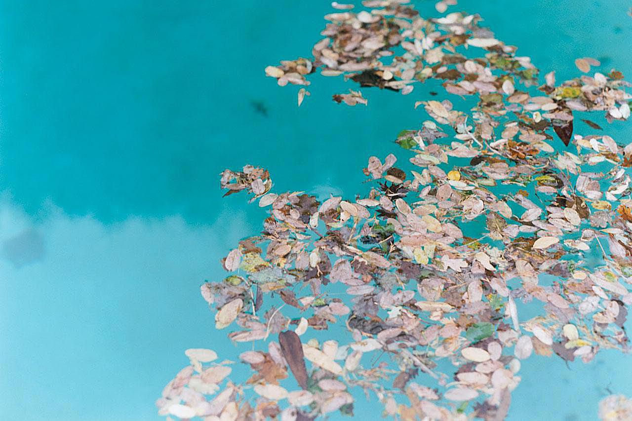 sdpooltech's tweet card. Don't clog the drain and filter. Learn three simple things you can do to speed up the removal of leaves from your swimming pool.