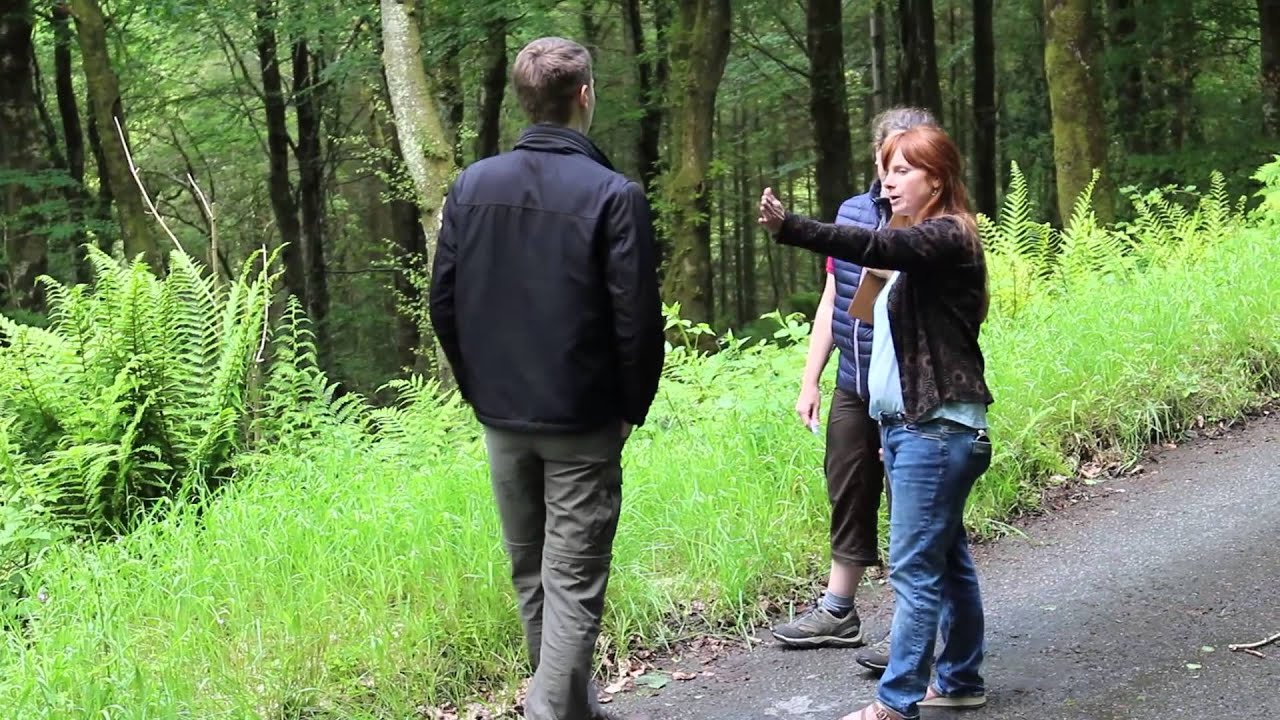 CobwebFP7's tweet card. Validating land cover using COBWEB