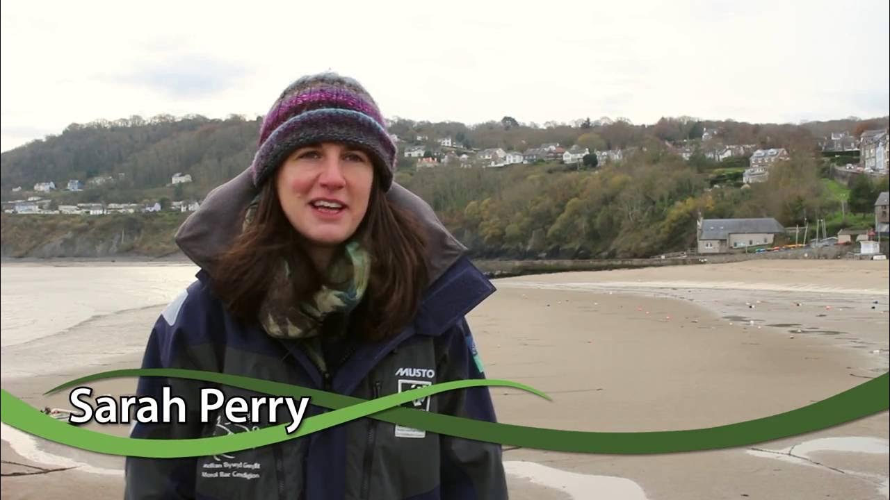 CobwebFP7's tweet card. COBWEB & Cardigan Bay Marine Wildlife Centre