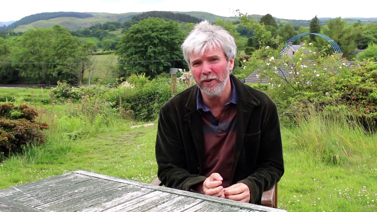 CobwebFP7's tweet card. What is COBWEB?