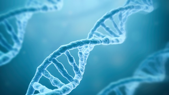 CornellNews's tweet card. A hardware accelerator initially developed for artificial intelligence operations successfully speeds up the alignment of protein and DNA molecules, making the process up to 10 times faster than...