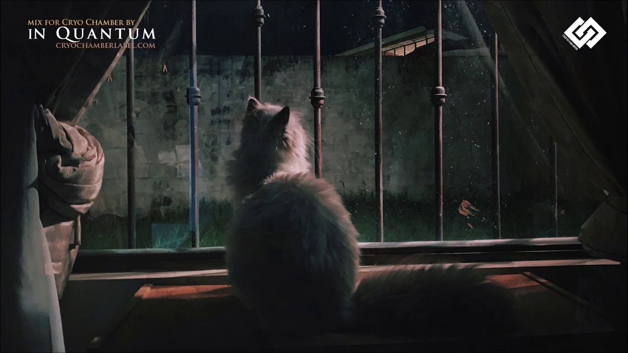 BlindProcedure's tweet card. Songs for a Dying World