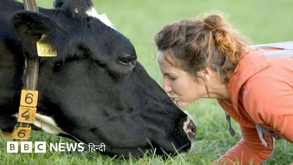 IMinakshiJoshi's tweet card. बकरियों के बीच योग करने से लेकर.. घंटियों की आवाज़ में सोने तक, सेहत की दुनिया में नए-नए ट्रेंड आ रहे हैं. इनका मक़सद है मन की शांति हासिल करना.