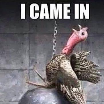 retrofitmatt's tweet card. Matt Hylton (@retrofitmatt) • Instagram photo