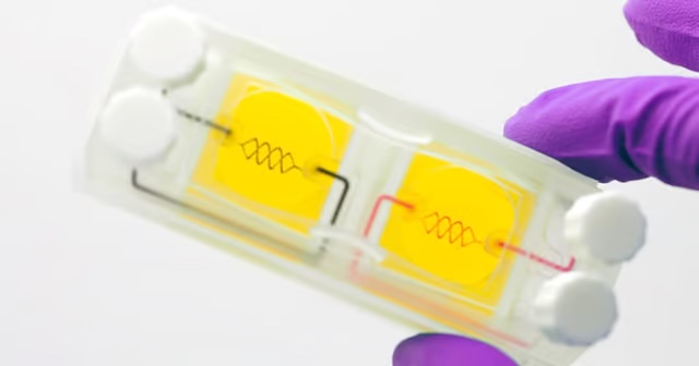 3DPrint_com's tweet card. 3D Systems, the additive manufacturing (AM) pioneer based in South Carolina, has launched the Regenerative Tissue Program, a bioprinting project for patient-specific, living human tissues. By...