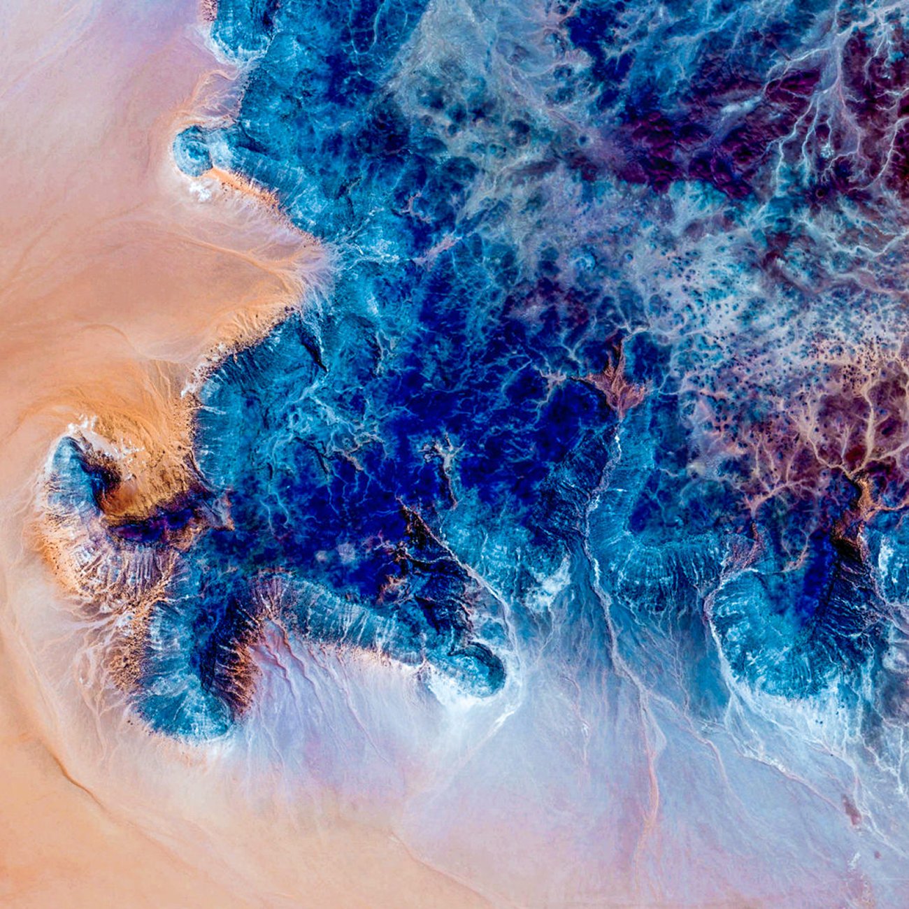 Synapse_feeds's tweet card. Earth AI is helping enterprises and cities with everything from environmental monitoring to disaster response.