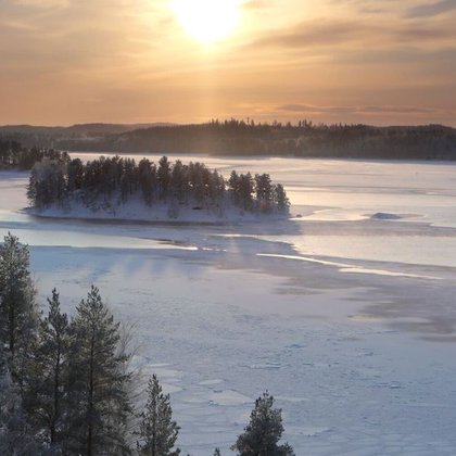 Tweet card summary image