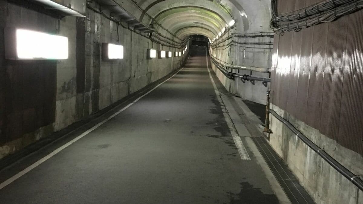 cocomi_mina's tweet card. 「日本の屋根」と呼ばれる北アルプスを貫く、世界有数の山岳観光ルート「立山黒部アルペンルート」。長野県の「扇沢駅」から富山県の「立山駅」までの総延長37.2km、最高地点2450mを、乗り物を乗り継ぎながら巡り…