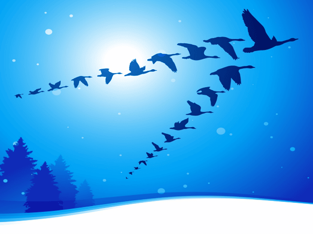 TripleCrownLead's tweet card. Most organizations aren’t aligned. Here we show leaders how to align their organization or team. We include an Alignment Scorecard.