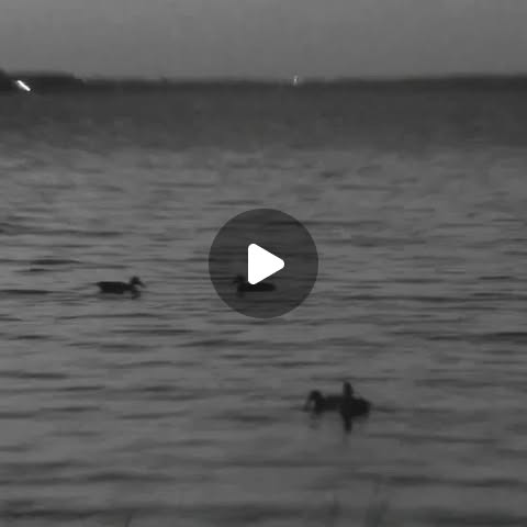 SOABHunting's tweet card. SOAB Hunting Company (@soabhunting) • Instagram photos and videos