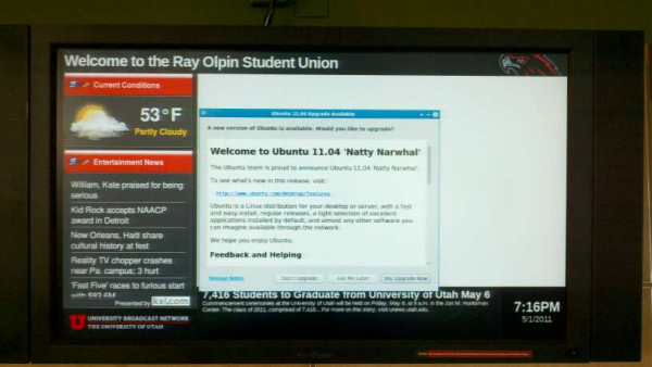 youtah's tweet card. Twitpic