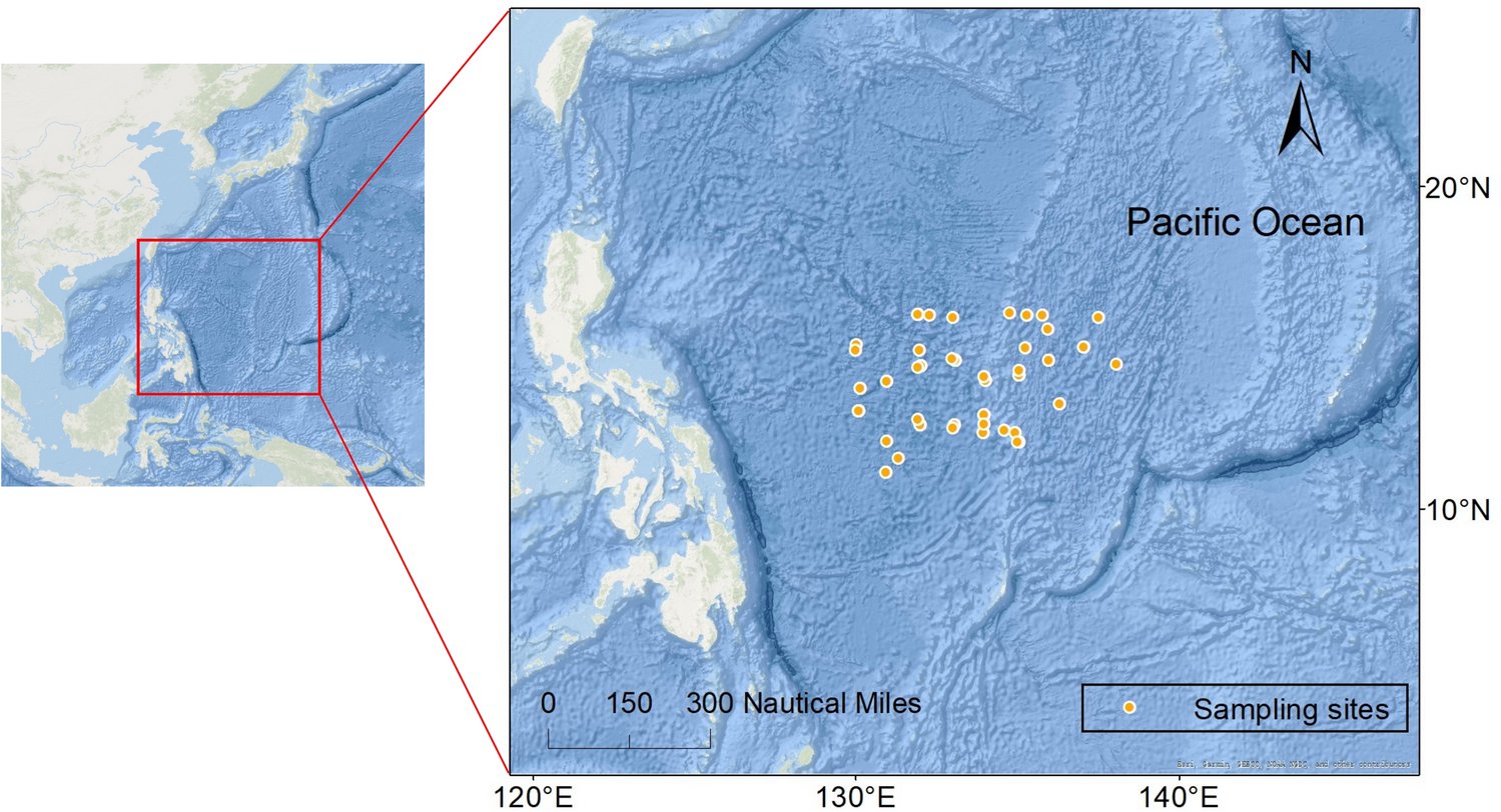 IsotopeEcology's tweet card. Marine Biology - Intensifying fishing pressure has profoundly altered marine food web structures across global ocean ecosystems. The longnose lancetfish (Alepisaurus ferox) is a widespread deep-sea...