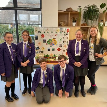 Tweet card summary image