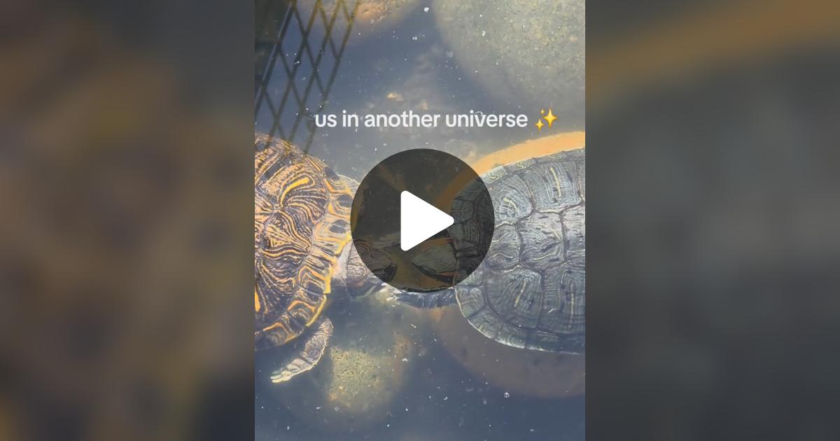 tsuki24x's tweet card. 42.7M likes, 221.3K comments. “us in another universe”