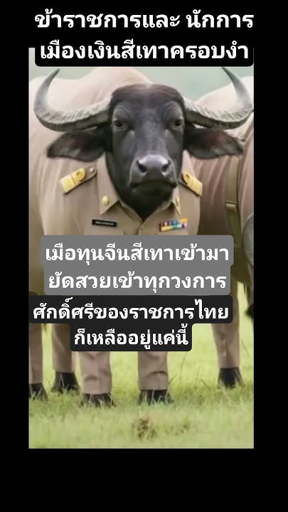 hazmatthai's tweet card. #memes #เปิดค่าการมองเห็น# funny #funnyimages #imagecapture #funney...
