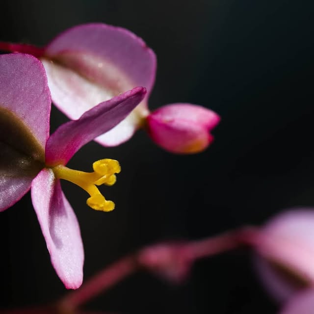 lucian's tweet card. Lucian Teo (@lucianteo) • Instagram photo