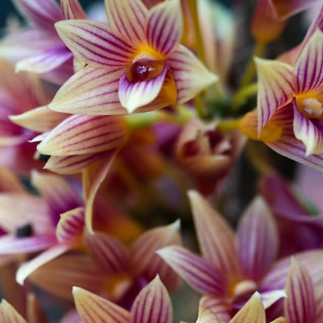 lucian's tweet card. Lucian Teo (@lucianteo) • Instagram photos and videos