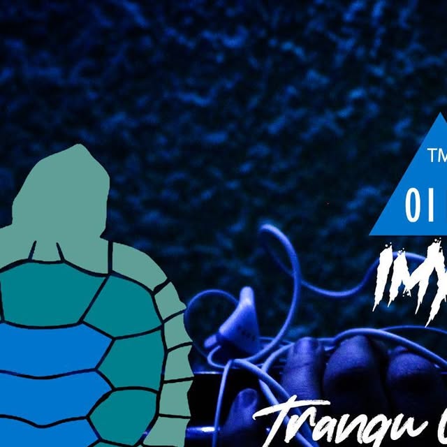 TurtleMusik's tweet card. Turtle Musik (@turtlemusikrec) • Instagram photo