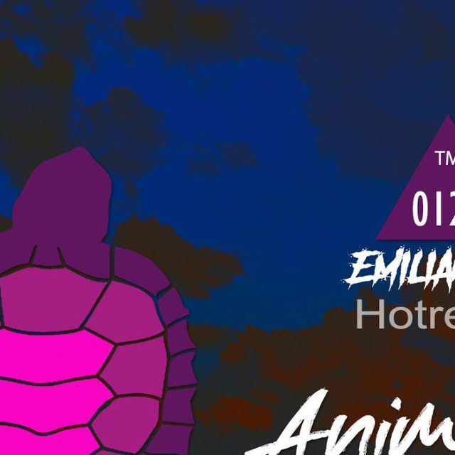 TurtleMusik's tweet card. Turtle Musik (@turtlemusikrec) • Instagram photo