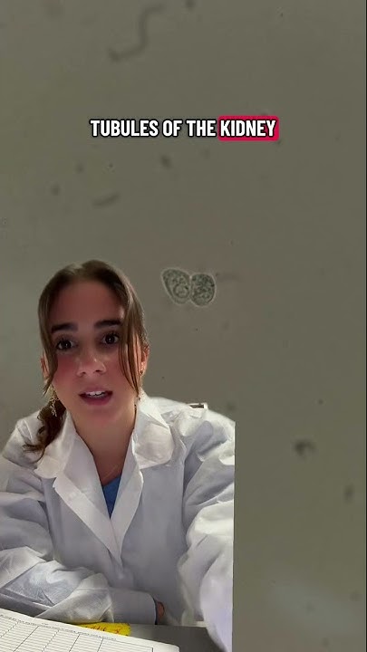 ClaudeRector's tweet card. Renal Cells