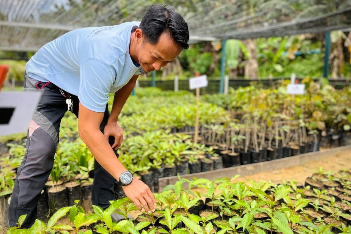 Danau_Girang's tweet card. SABAH, Malaysia — Although it’s early in the day, the sun is already beating down fiercely as we step off the boat onto the muddy banks of the Kinabatangan River in the Malaysian state of Sabah....