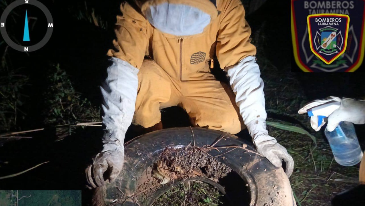 LaPoderosaFMM's tweet card. El personal de control apícola de Bomberos Tauramena realizó la intervención de un panal de abejas africanizadas que se encontraba al interior de una llanta ubicada en el patio de una vivienda. Según...