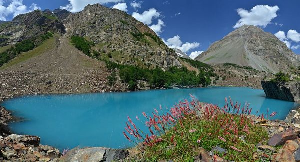 Diplomat_APAC's tweet card. In addition to the direct damage done to locals, the flooding also spells disaster for Pakistan’s long-term water security.