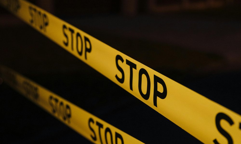 B10WBR's tweet card. Fear is one of the body’s most essential survival mechanisms. An instinct that has helped humans and other animals avoid danger and stay alive for a long