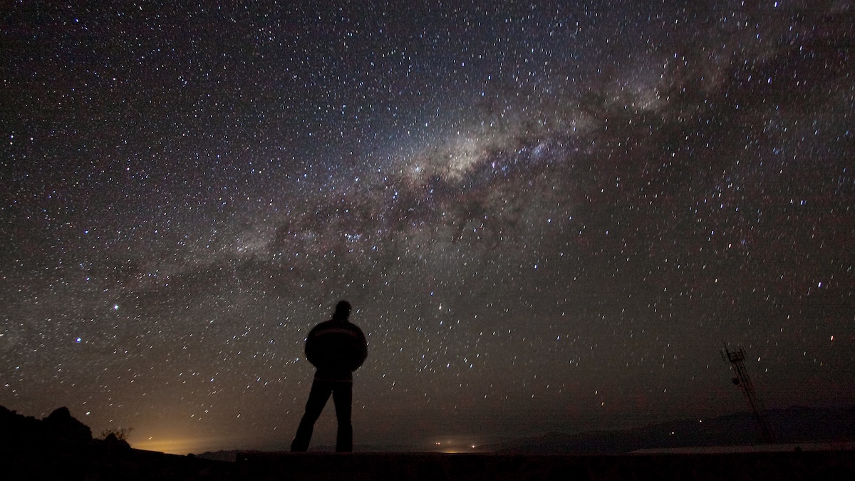 ScienceAlert's tweet card. This could have profound consequences.