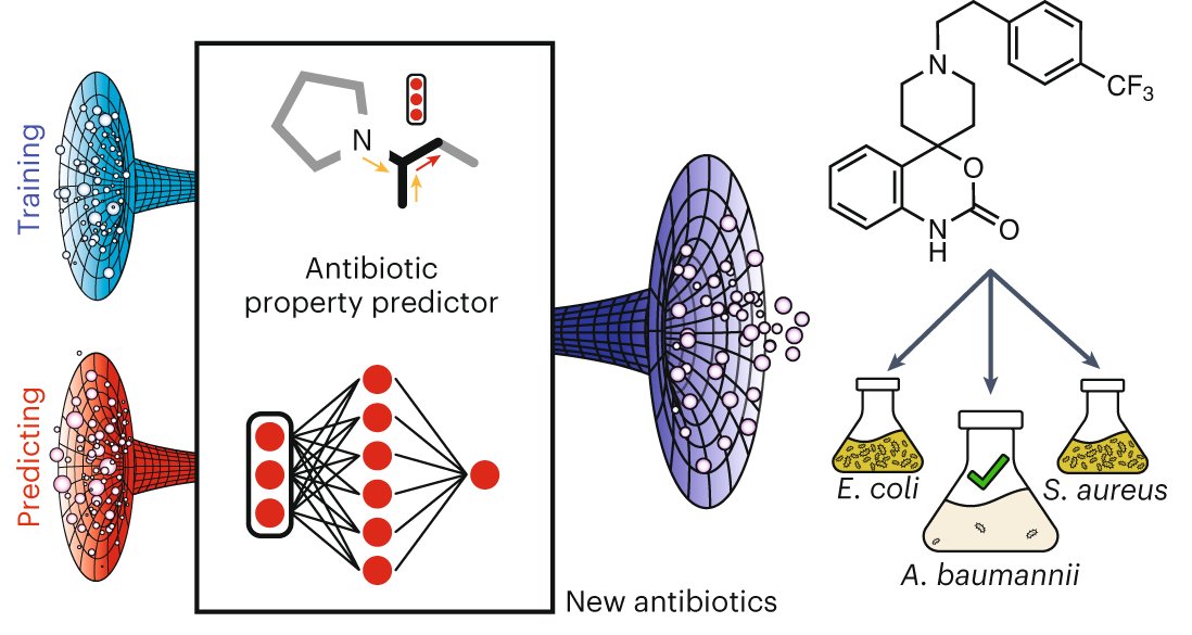 ItsJonStokes's tweet card. Nature Chemical Biology - Using a neural network trained on bacterial growth inhibition data, in silico prediction of molecules with activity against Acinetobacter baumannii led to the...