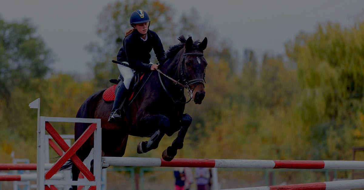 jsilvani's tweet card. Choose accounting software with a complete audit trail. Reduce risk, detect fraud, and ensure compliance with Gravity’s cloud-based solution.