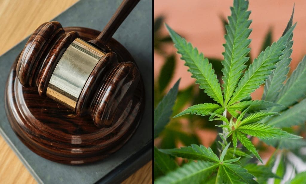 slgparrish's tweet card. The window to file challenges to an Oklahoma marijuana legalization ballot initiative closed on Thursday—but not before two more complaints were submitted to the state Supreme Court, for a total of...