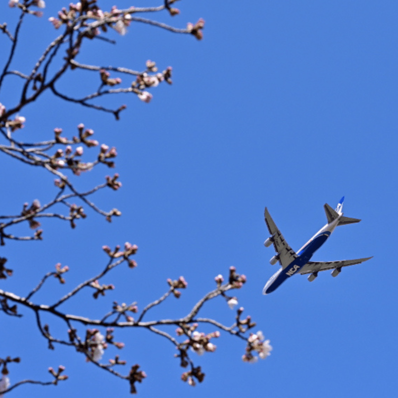 Cled305's tweet card. シングル • 2024年 • 1曲 • 3分