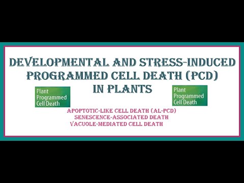 Harbot2024's tweet card. Developmental and Stress-induced Programmed Cell Death (PCD) in Plants