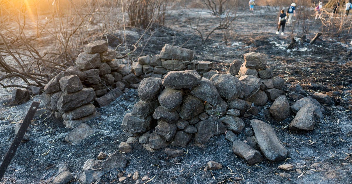 go2Carl's tweet card. ***