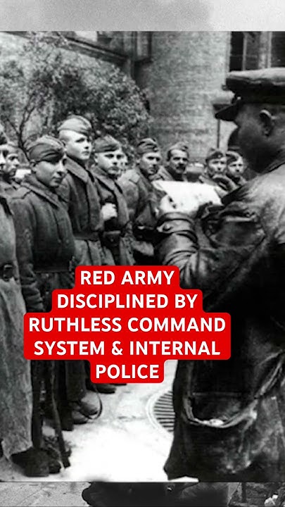 CollaLearning's tweet card. Discipline of Soviet Red Army on Eastern Front in WW2 #redarmy #ww2...