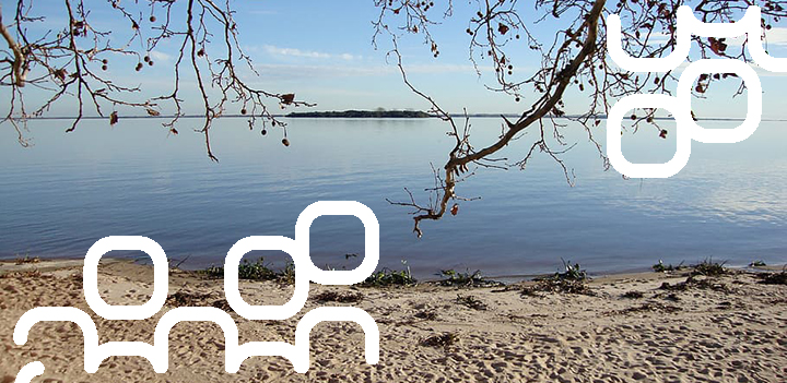 agesic's tweet card. En el marco del Día Internacional de los Datos Abiertos que se celebra el 7 de marzo, diversos organismos del Estado publicaron datos en formato