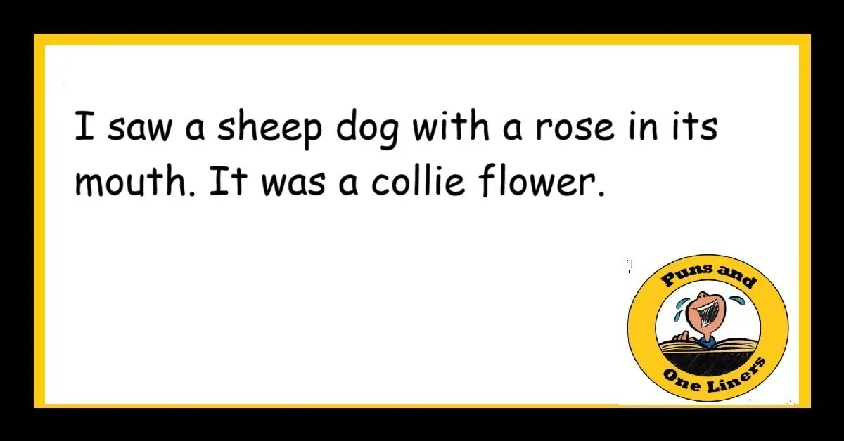 punsandoneliner's tweet card. I started the year by saying I'd buy some flowers each week. It was my New Year Rose-elution. Rose Jokes...