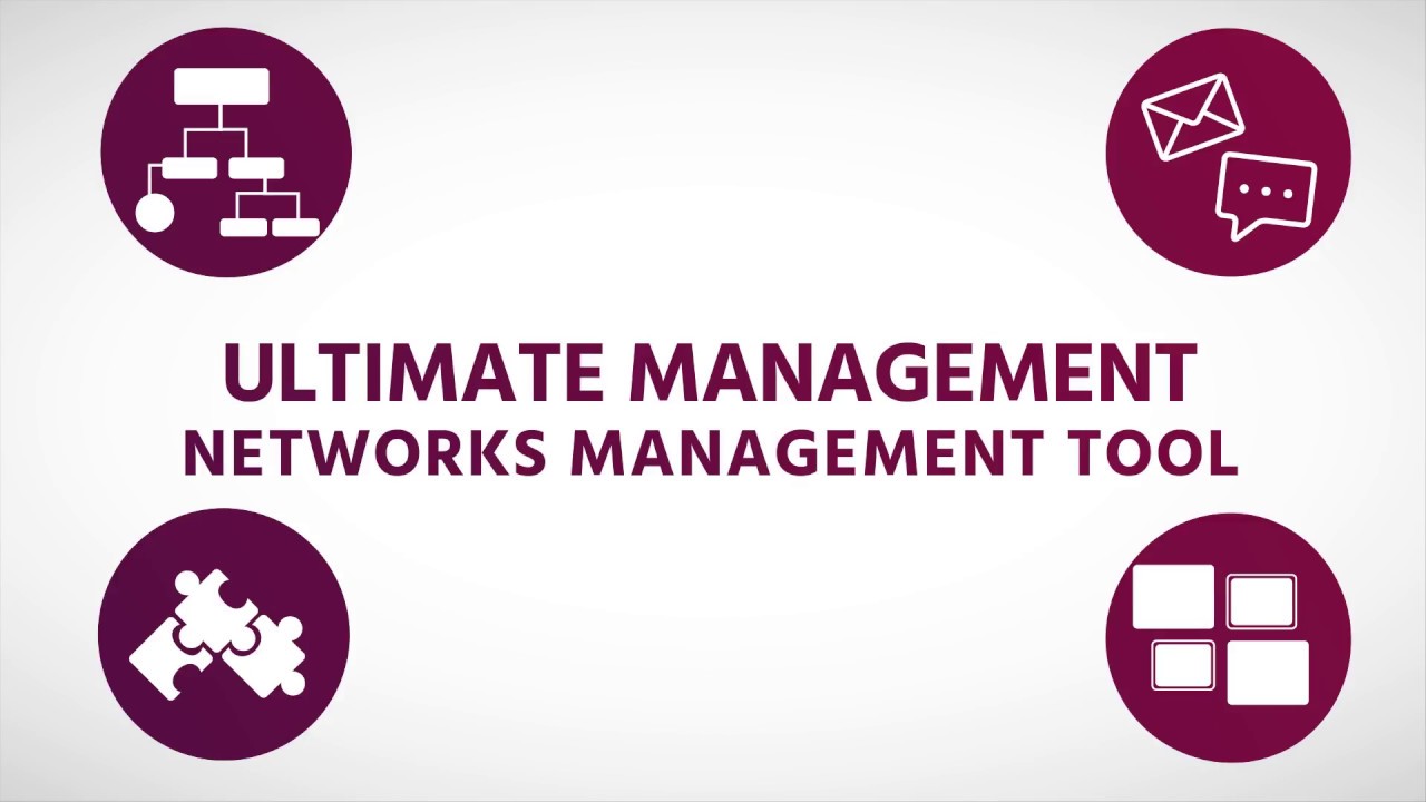 InsightLevel's tweet card. Squid by InsightLevel