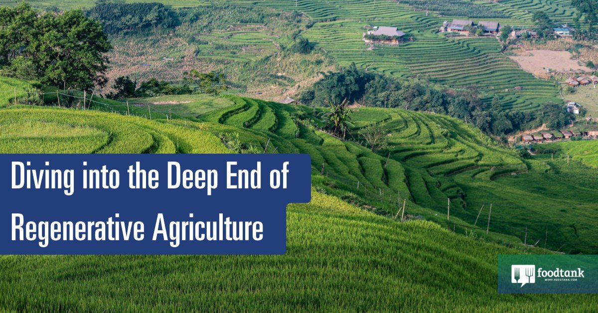 Innovationwoman's tweet card. The Regen10 initiative is building a farmer- and landscape leader-led participatory to support food producers, communities, and the planet.