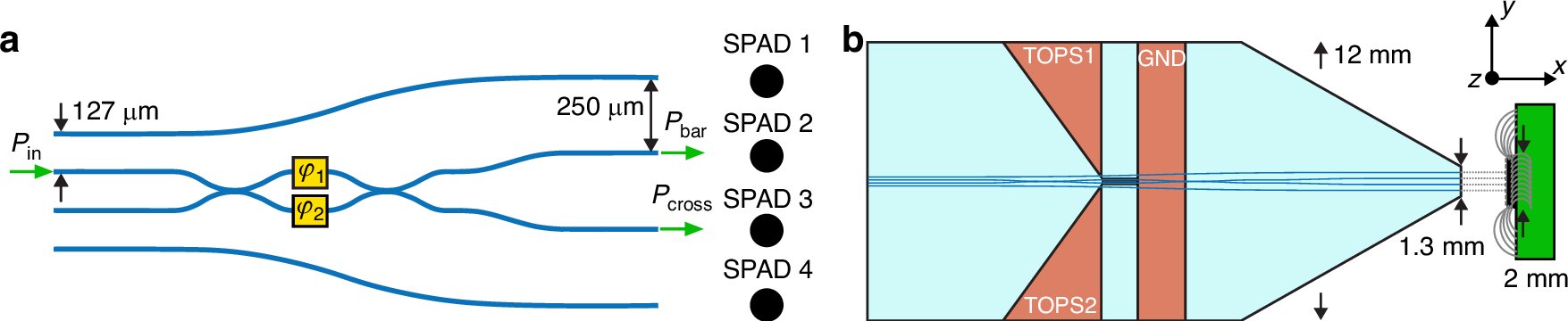 LightSciAppl's tweet card. Light: Science & Applications - Laser-written reconfigurable photonic integrated circuit directly coupled to a single-photon avalanche diode array