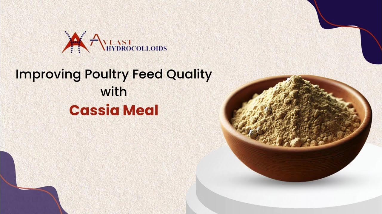 Hydrocolloids's tweet card. Improving Poultry Feed Quality with Cassia Tora Meal