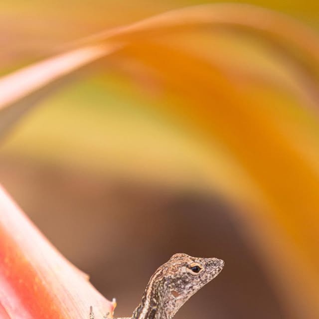 ashish_design's tweet card. Ashish Chaudhary (@designraga) • Instagram photo